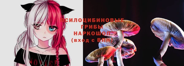 винт Надым