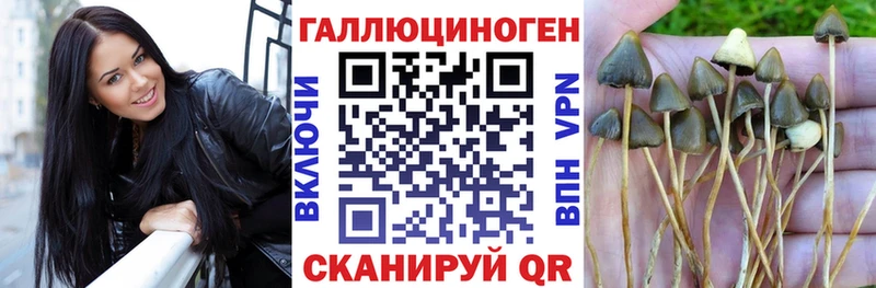 Купить  Касли  Галлюциногенные грибы мухоморы 