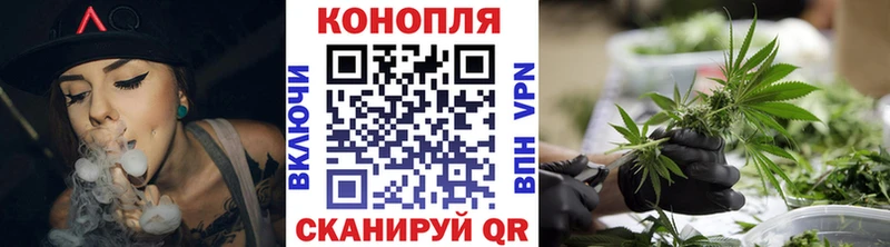 Бошки Шишки план Купить Касли